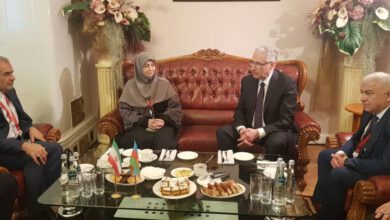 انصاری: همکاری ایران و جمهوری آذربایجان در حفظ خزر و ارس ضروری است