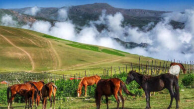 چرا ایران مقصدی ایده‌آل برای طبیعت‌گردی است؟