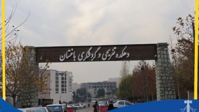 بازنگری در طراحی دهکده گردشگری باغستان/ایجاد مجموعه‌ای سبز و سازگار با طبیعت