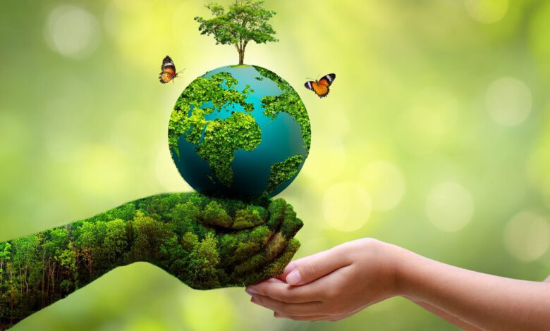 یک روز به سیارهمان استراحت بدهیم