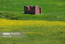 هشدار دادستان نمین به متجاوزین عرصه‌های ملی و منابع طبیعی