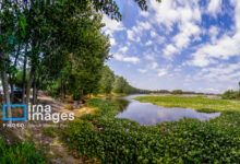 ارزیابی شاخص عملکرد محیط‌زیستی در سطح ملی