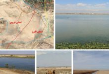 گام مهم برای احیای تالاب صالحیه با دستور رئیس‌جمهور و پیگیری سازمان محیط زیست