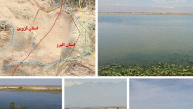 گام مهم برای احیای تالاب صالحیه با دستور رئیسجمهور و پیگیری سازمان محیط زیست