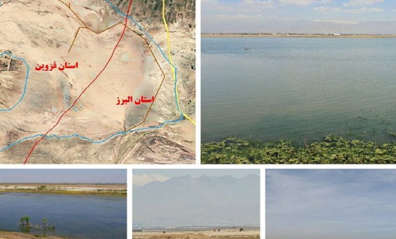 گام مهم برای احیای تالاب صالحیه با دستور رئیسجمهور و پیگیری سازمان محیط زیست