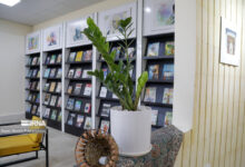 کتابخانه‌های سبز در دستور کار سازمان حفاظت محیط‌زیست است