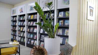 کتابخانه‌های سبز در دستور کار سازمان حفاظت محیط‌زیست است