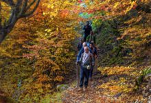 چگونه در پاییز انرژی و شادابی خود را حفظ کنیم