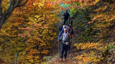 چگونه در پاییز انرژی و شادابی خود را حفظ کنیم