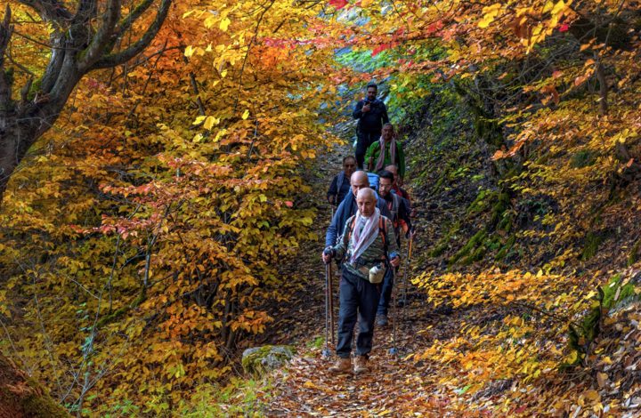 چگونه در پاییز انرژی و شادابی خود را حفظ کنیم