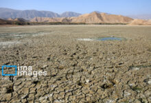 اولویت‌دهی به محیط‌زیست در برنامه‌های ملی ضروری است