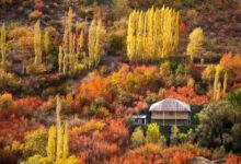 سفر رنگارنگ پاییزی؛ جاده چالوس، بهشتی در دل طبیعت