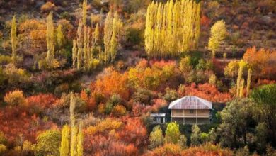 سفر رنگارنگ پاییزی؛ جاده چالوس، بهشتی در دل طبیعت