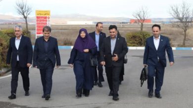 رییس سازمان حفاظت محیط زیست وارد اردبیل شد