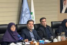 رییس سازمان حفاظت محیط‌زیست: فرونشست زمین در ۳۰ استان گزارش شد