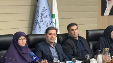 رییس سازمان حفاظت محیط‌زیست: فرونشست زمین در ۳۰ استان گزارش شد