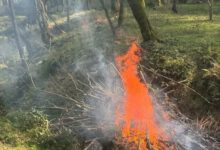 آتش‌افروز هیرکانی دستگیر شد