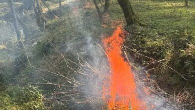 آتش‌افروز هیرکانی دستگیر شد