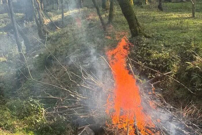 آتشافروز هیرکانی دستگیر شد