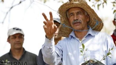 درباره پدر بلوط ایران