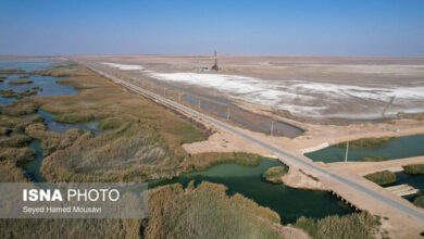 تشنگی؛ جانِ بر لب تالاب‌های خوزستان