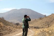 ضرورت حمایت‌های قضایی و بیمه‌ای از محیط‌بانان