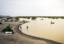 لزوم تدوین قانون حفاظت از محیط‌زیست دریا