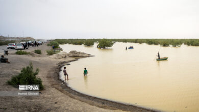 لزوم تدوین قانون حفاظت از محیط‌زیست دریا