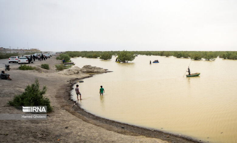 لزوم تدوین قانون حفاظت از محیط‌زیست دریا