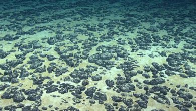 استخراج فلزات باتری از اعماق دریا با کمترین آسیب زیست‌محیطی