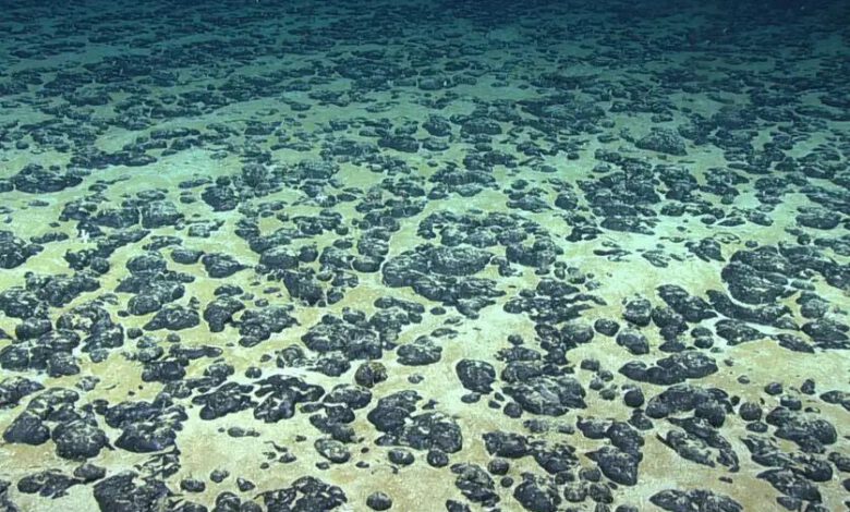 استخراج فلزات باتری از اعماق دریا با کمترین آسیب زیستمحیطی