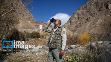 برای حفاظت از محیط‌زیست نیازمند حکمرانی هوشمند هستیم