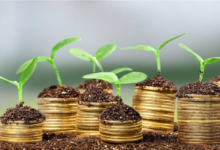 وقتی طبیعت حساب و کتاب اقتصادی پیدا می‌کند/ ارزش واقعی خدمات اکوسیستمی چقدر است