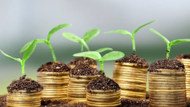 وقتی طبیعت حساب و کتاب اقتصادی پیدا می‌کند/ ارزش واقعی خدمات اکوسیستمی چقدر است