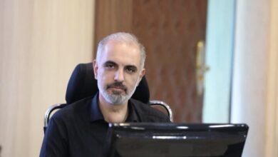 هشدار شورای اسلامی شهر کرج نسبت به نابودی چنارهای کهنسال